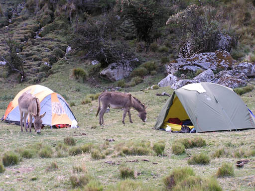 Cordillera_Blanca_P1010439