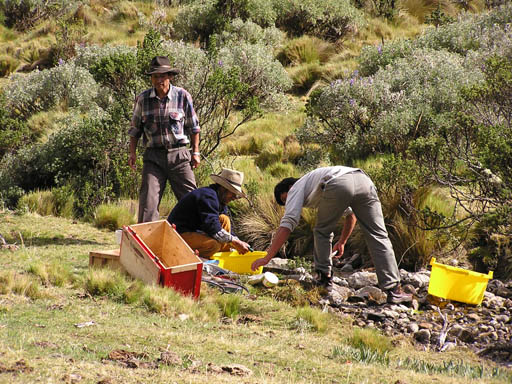 Cordillera_Blanca_P1010447