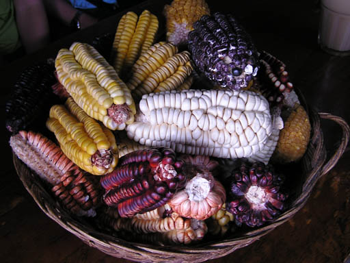 Urubamba_Tal_P1010609