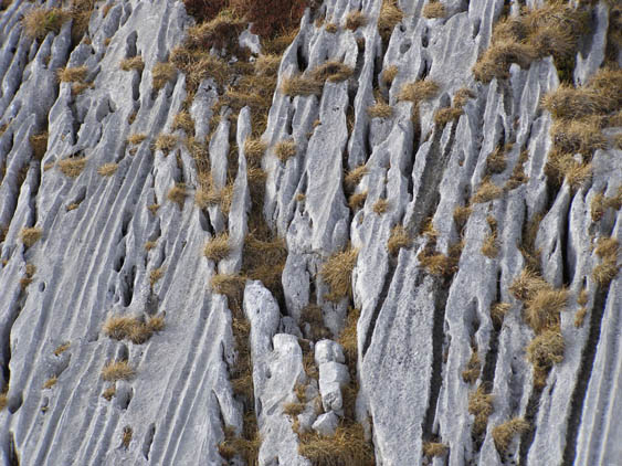 Rofan_Schneeschuh_P1200072