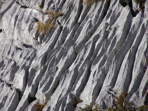 Rofan_Schneeschuh_P1200079