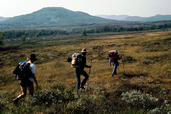 Norwegen Schweden 1983 - 003