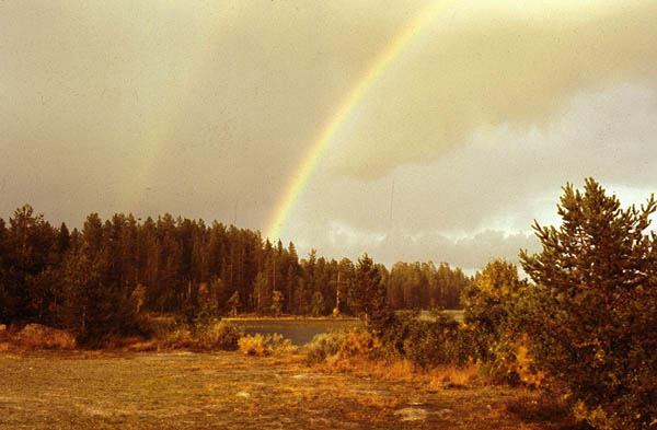 Norwegen Schweden 1983 - 022