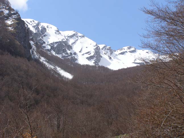 P4100727_Valle_di_Rose_Valle_di_Iannanghera_003