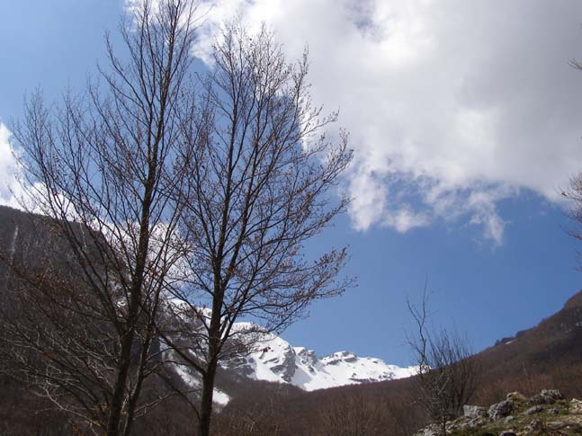 P4100731_Valle_di_Rose_Valle_di_Iannanghera_007