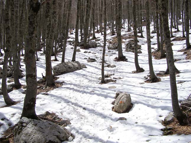 P4100736_Valle_di_Rose_Valle_di_Iannanghera_012