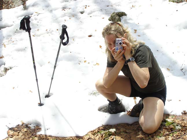 P4100737_Valle_di_Rose_Valle_di_Iannanghera_013