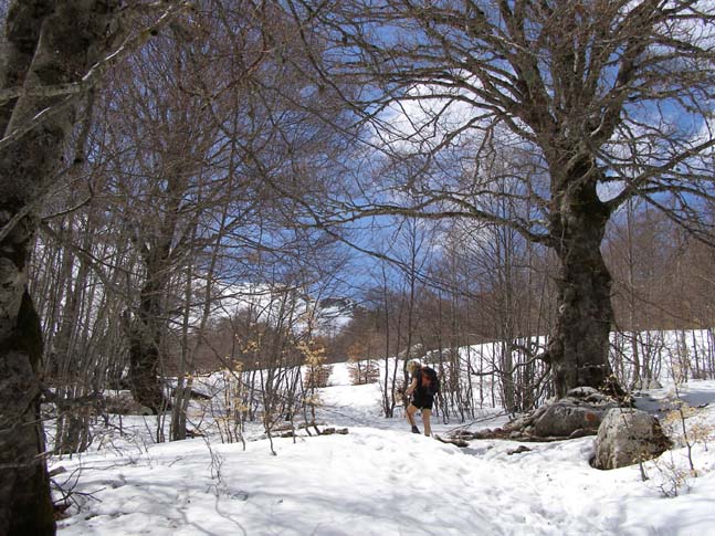 P4100744_Valle_di_Rose_Valle_di_Iannanghera_020
