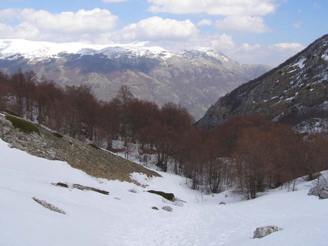 P4100755_Valle_di_Rose_Valle_di_Iannanghera_031