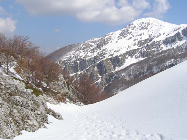 P4100796_Valle_di_Rose_Valle_di_Iannanghera_071