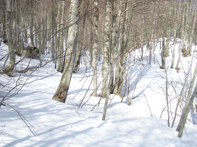 P4100812_Valle_di_Rose_Valle_di_Iannanghera_087