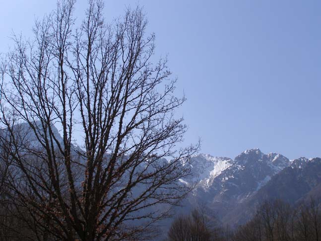 P4110825_La_Camosciara_006