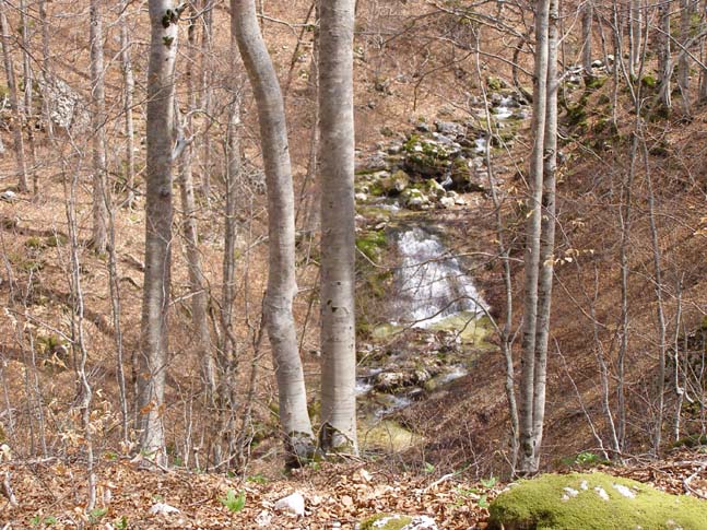 P4110831_Valle_Fondillo_012