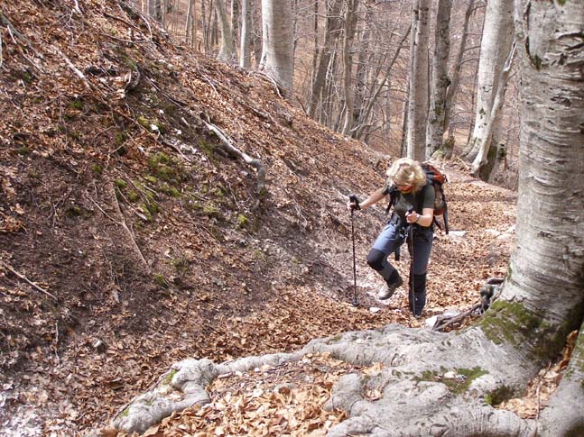 P4110835_Valle_Fondillo_016