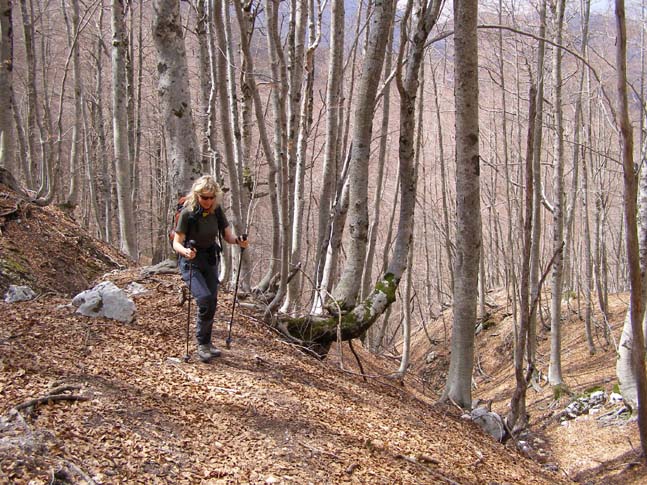 P4110838_Valle_Fondillo_019