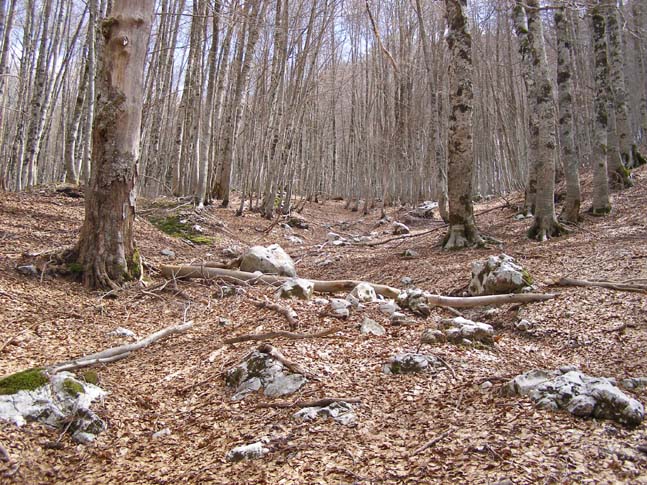 P4110839_Valle_Fondillo_020