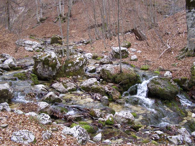 P4110844_Valle_Fondillo_025