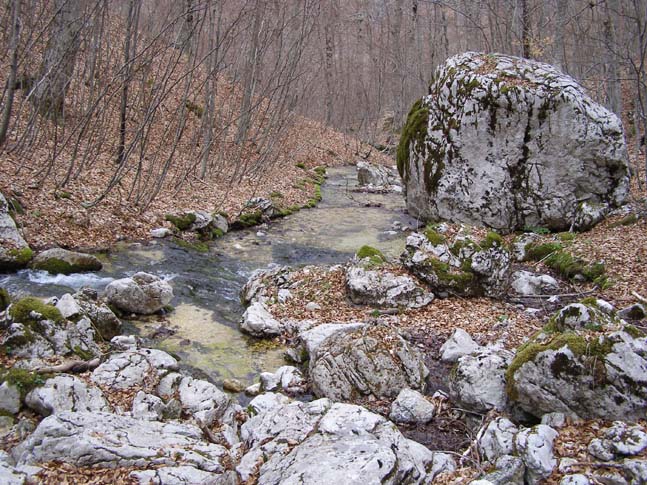 P4110846_Valle_Fondillo_027