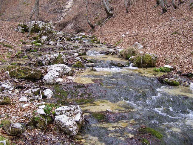 P4110847_Valle_Fondillo_028