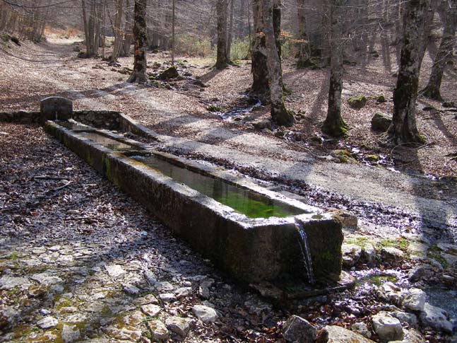 P4110852_Valle_Fondillo_033