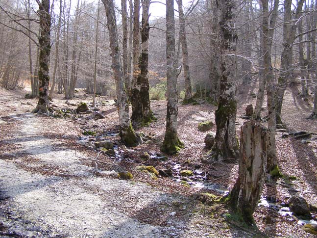 P4110853_Valle_Fondillo_034