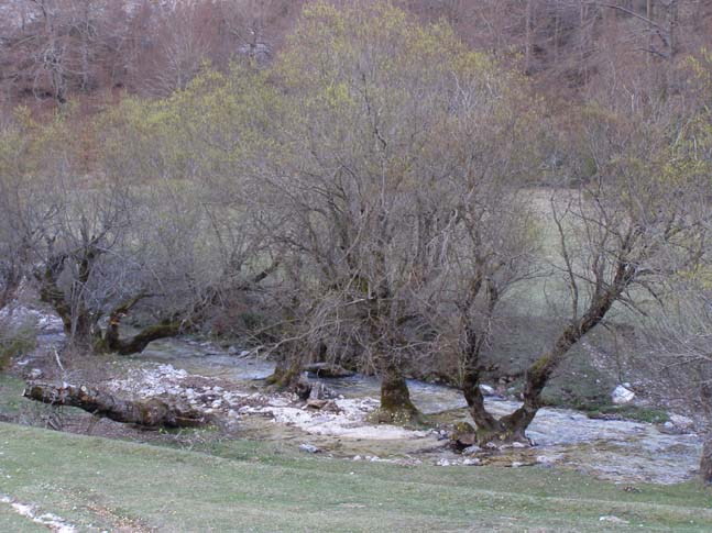 P4110860_Valle_Fondillo_041