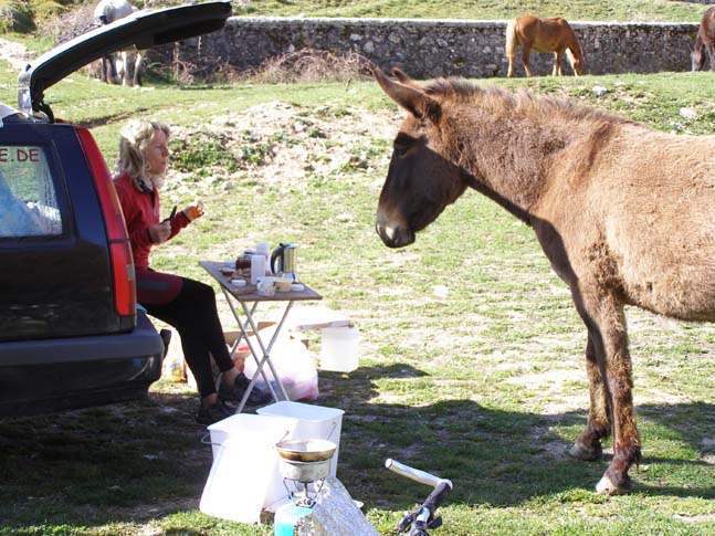 P4120867_Valle_Fondillo_048