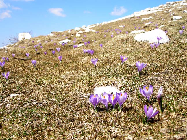 P4120934_Pescasseroli_Rocca_Gipfel_062