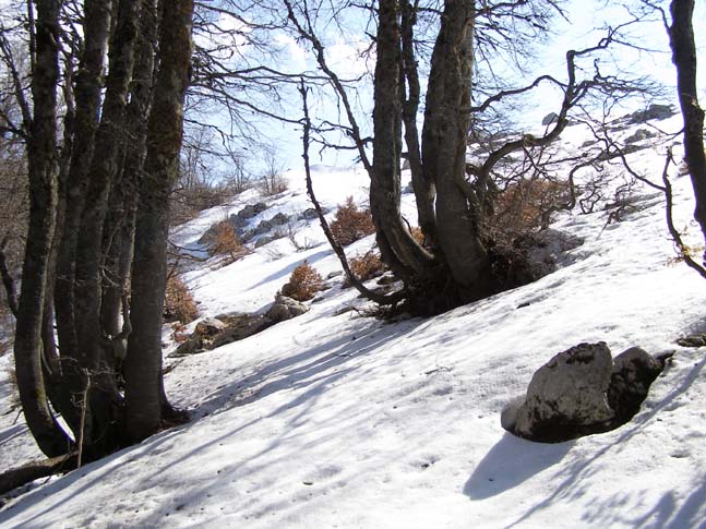 P4120955_Pescasseroli_Rocca_Gipfel_083