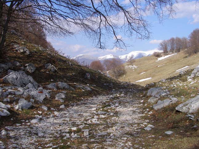 P4120966_Pescasseroli_Rocca_Gipfel_094