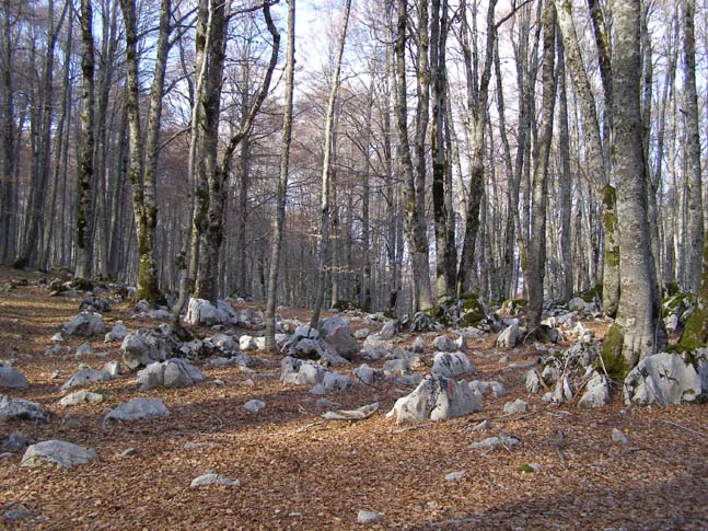 P4120972_Pescasseroli_Rocca_Gipfel_100