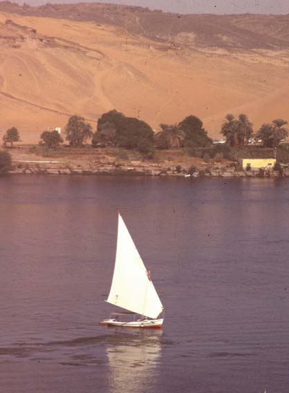 Aegypten-92-024-Assuan