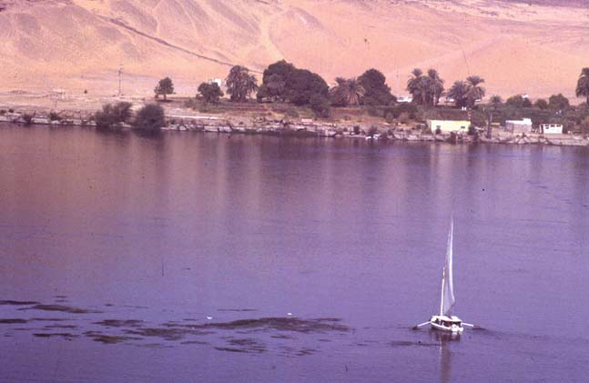 Aegypten-92-028-Assuan