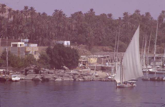 Aegypten-92-035-Assuan