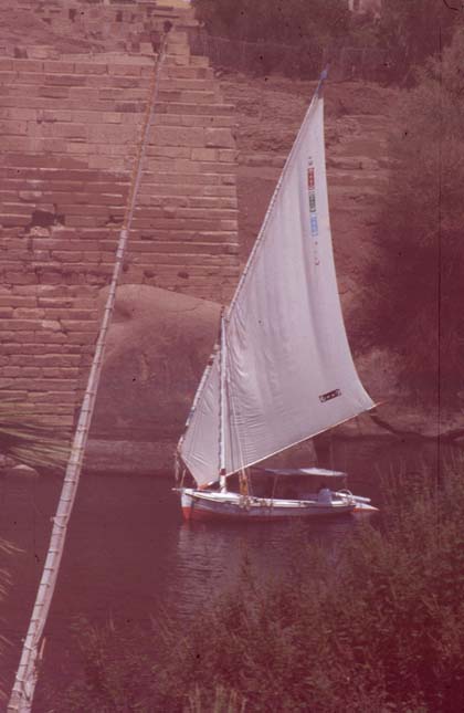 Aegypten-92-037-Assuan