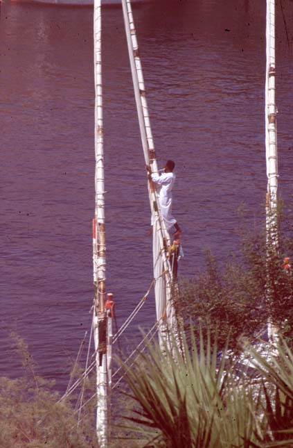 Aegypten-92-040-Assuan