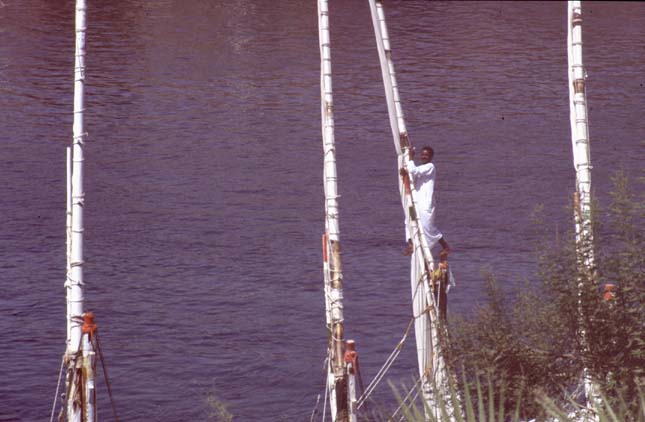 Aegypten-92-041-Assuan