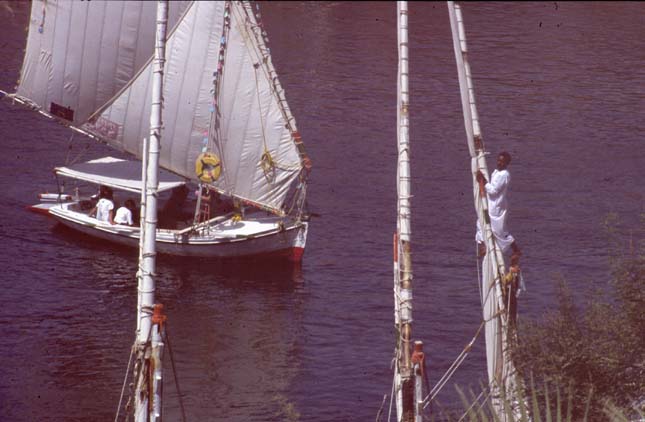 Aegypten-92-042-Assuan