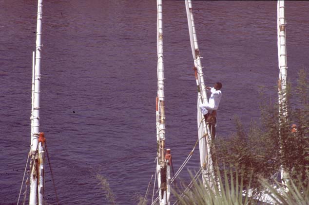 Aegypten-92-044-Assuan