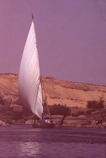 Aegypten-92-047-Assuan