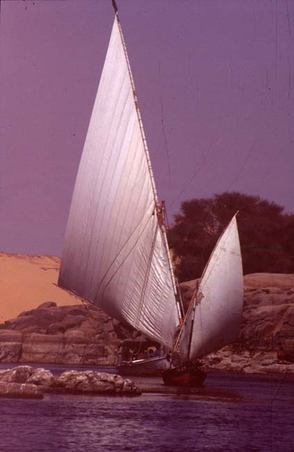Aegypten-92-048-Assuan