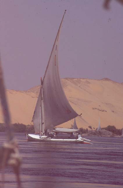 Aegypten-92-052-Assuan