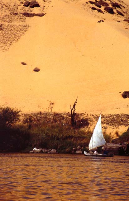 Aegypten-92-064-Assuan