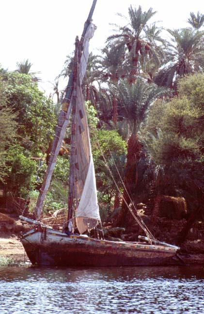 Aegypten-92-067-Assuan