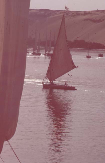 Aegypten-92-078-Assuan