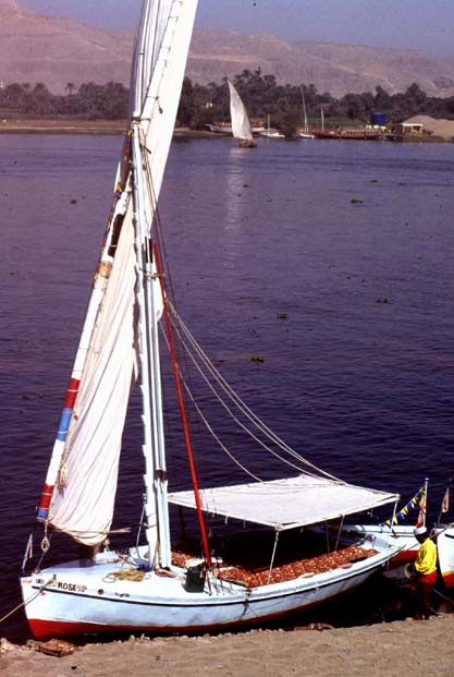 Aegypten-92-083-Luxor