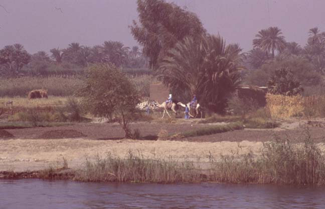 Aegypten-92-098-Luxor