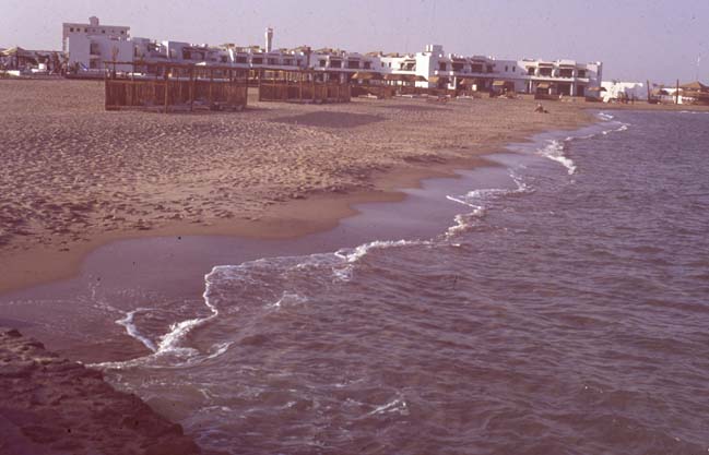 Aegypten-92-120-Safaga