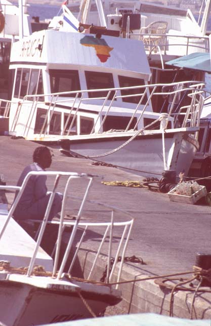 Aegypten-92-125-Hurgada