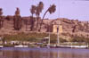 Aegypten-92-049-Assuan